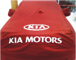 capa para carro